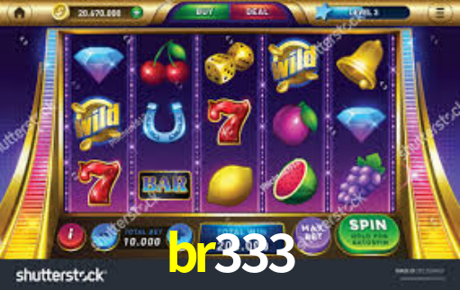 br333.com